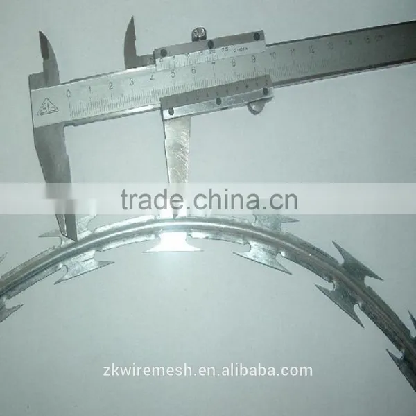 PVC Coated Razor Barbed Wire Factory photo-6