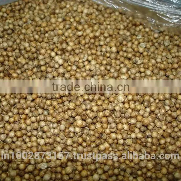 Coriander Seeds Splits