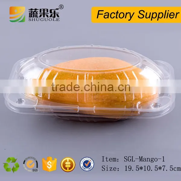 One Mango Shaped Fruit Packaging Box photo-5