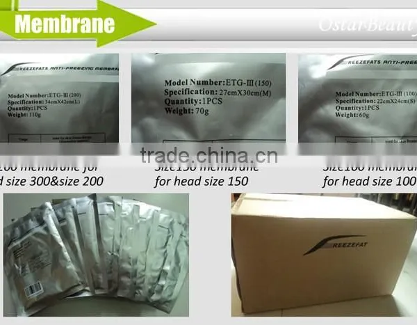 (3/4 Cryo Handles) Cryolipolysis Freezer Skin Tightening Slim Freezer Weight Loss Machine Cool Sculpting photo-5