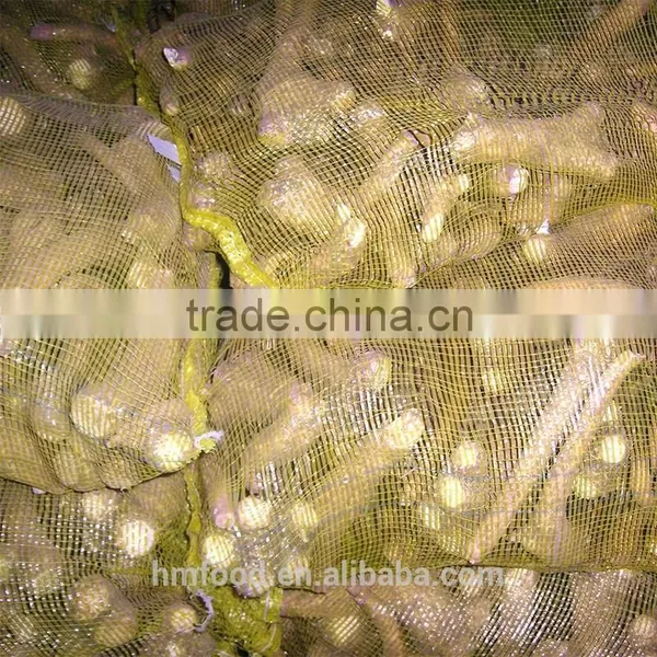 Spicy Fresh Horseradish photo-5