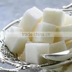 White Camphor Oil