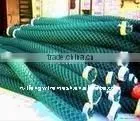 Stone Cage Net