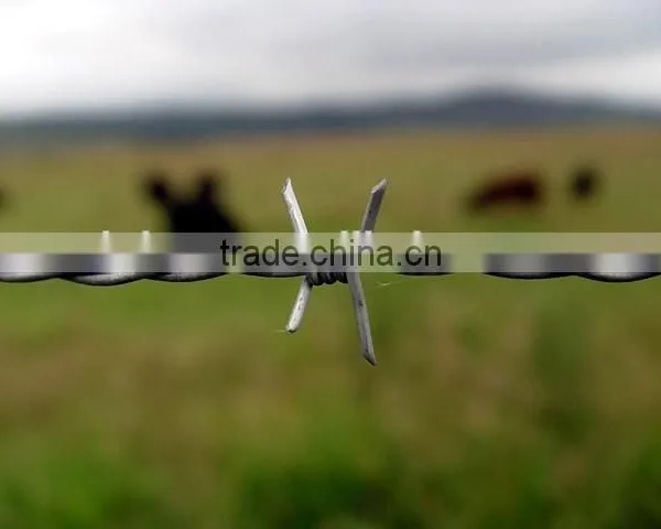 Cheap Galvanized Single Strand Barbed Wire photo-4