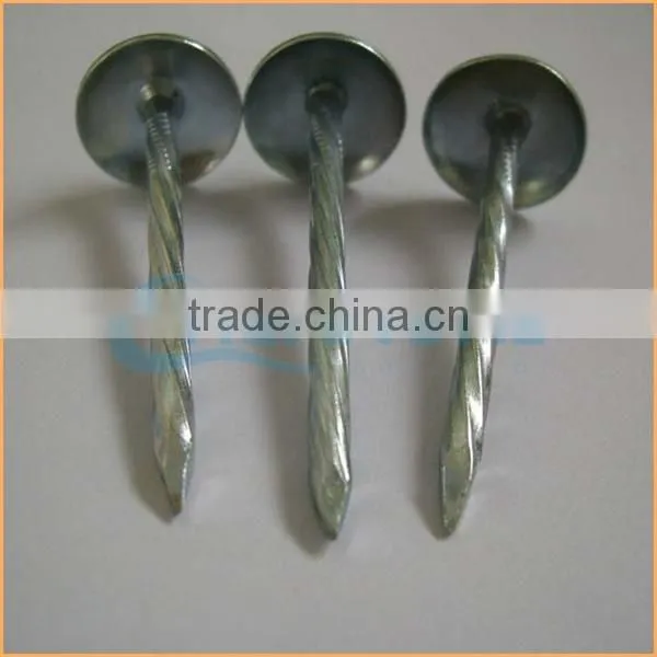 Top Quality Best Quality and Cheaper Big Head Roofing Nails Trusted Chuanghe Suppliers From Com photo-3