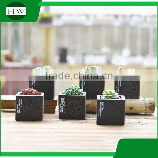 Wholesale Cheap Black Square Round Cup Shape Cement Garden Flower Pot photo-4