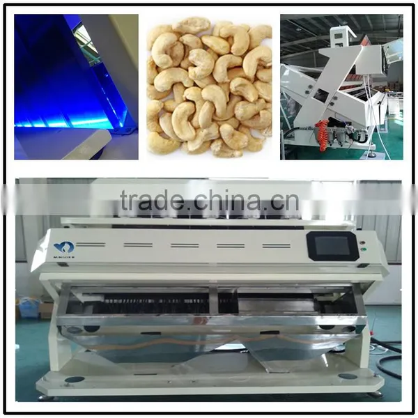 Belt Peanut Color Sorter, China Color Sorting Machine for Ground Nut photo-6