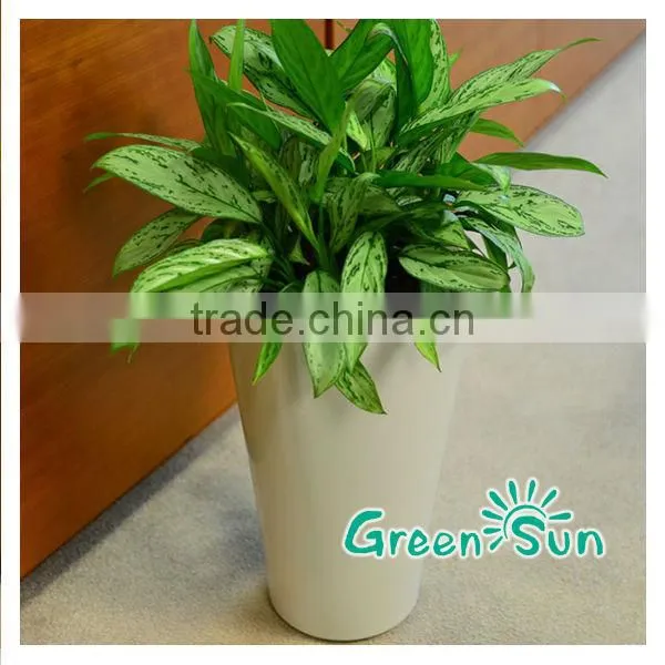 High Quality Plastic Starting Seeding Flower Pot photo-2