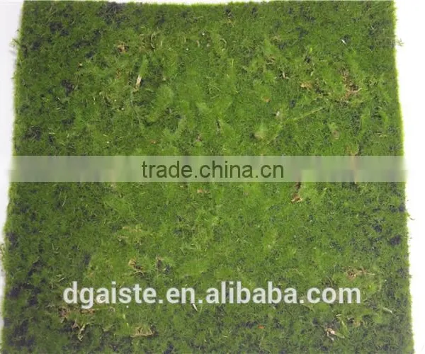 Man Made Thick Moss Carpet Moss Foam Products Flocking Wall photo-2