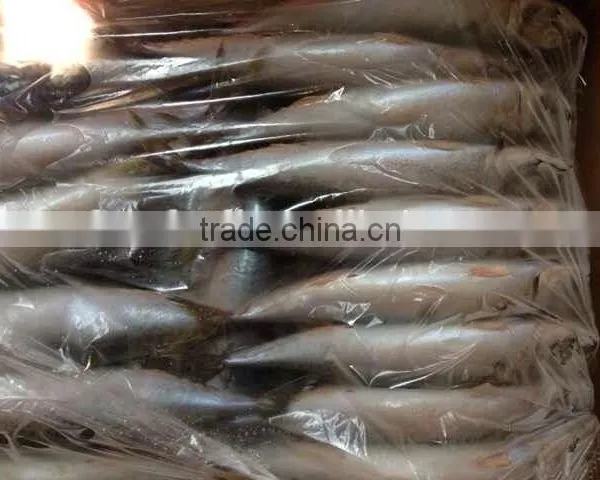Organic Seafood,300-500g Frozen Mackerel Fish photo-2