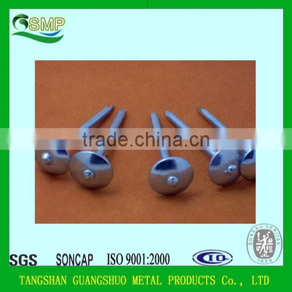 Hot Sale Galvanized Umbrella Roofing Nail 2.5" China Supplier Umbrella Head Roofing Nails photo-3