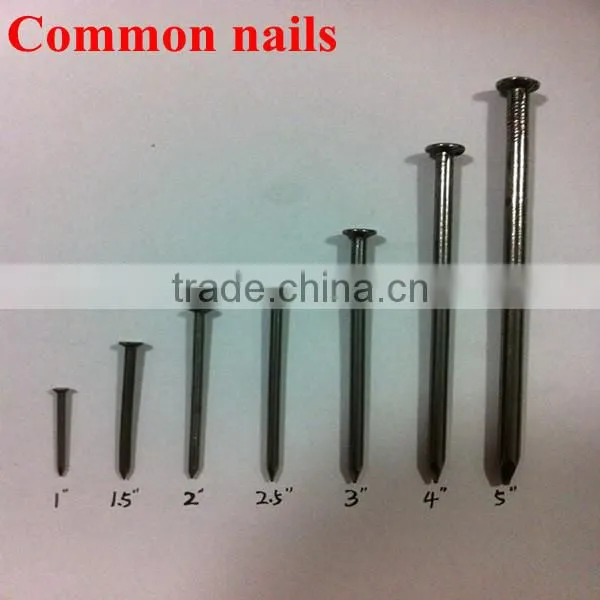 Polished Wooden Nails Iron Nails Common Nails photo-6