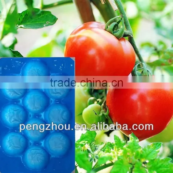 Golden Supplier Fruit Blister Packaging With Exporting Standard photo-4