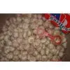 Normal White Garlic