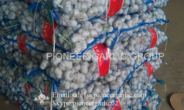 5.5cm And Up Red Garlic Loose Packing In 20kg Mesh Bag photo-5