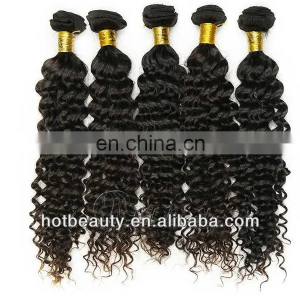 Hotbeauty Virgin Human Hair Malaysian Virgin Deep Curly
