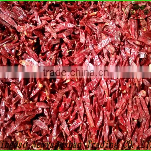(HOT)New Crop DRY Red Chili,HOT!HOT!