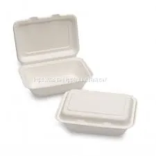 Bagasse lunch box Compostable sugarcane pulp food packaging white bagasse pulp packaging natural environment