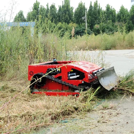 China RC Mower With Best Price For Sale Buy Online photo-5