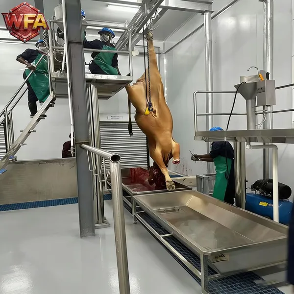 HACCP Cattle Slaughterhouse Equipment Project Beef Processing Line Cow Abattoir Factory Layout Design Machinery photo-3
