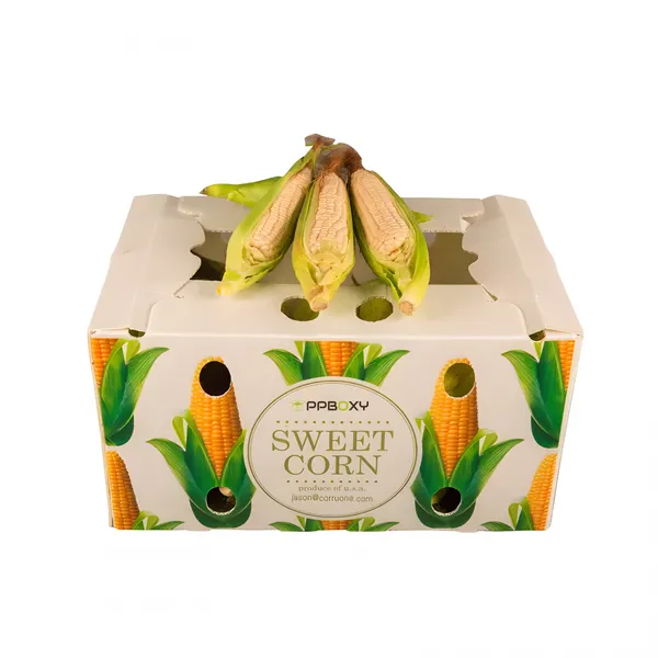 PP Corrugated Sweet Corn Box