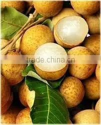 Canned Fresh Longan in Syrup - 30 oz Tin (850ml x 24 Tins) photo-2