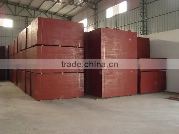 1220X2440 Film Faced Plywood for Construction photo-3
