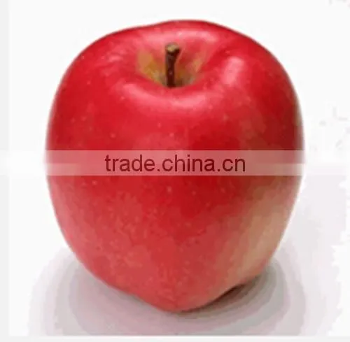 Apple Polyphenol 20%-80% photo-4