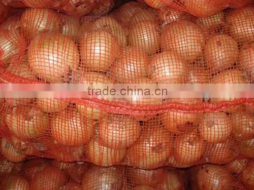 Fresh Onion