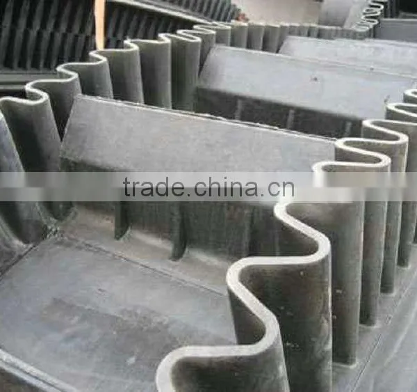 Hot Sale Products China ep Conveyor Belt New Product Launch in China photo-2