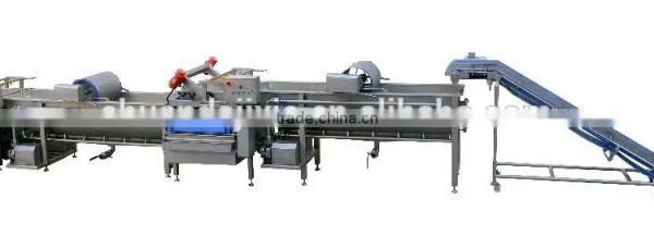 New Condition Vibration Outfeed Vegetable Washing Machine CD750 photo-5