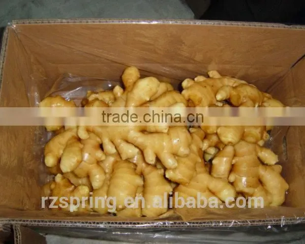 Wholesale Chinese Spicy Mature Fresh Ginger photo-3