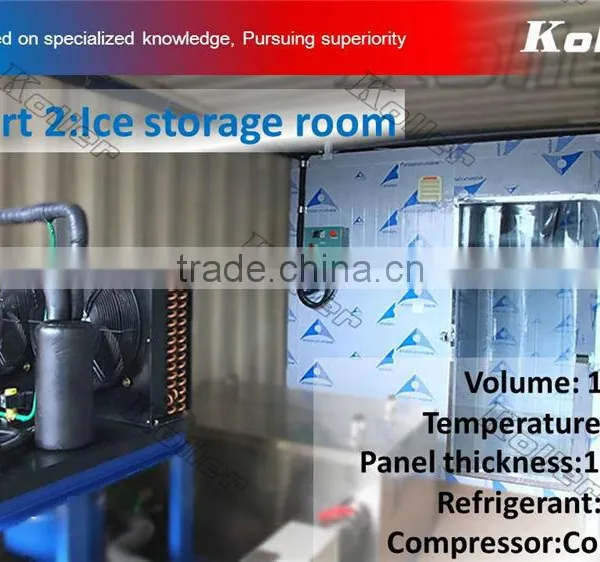 a Simple Ice Block Plant in Container With Cold Room photo-3