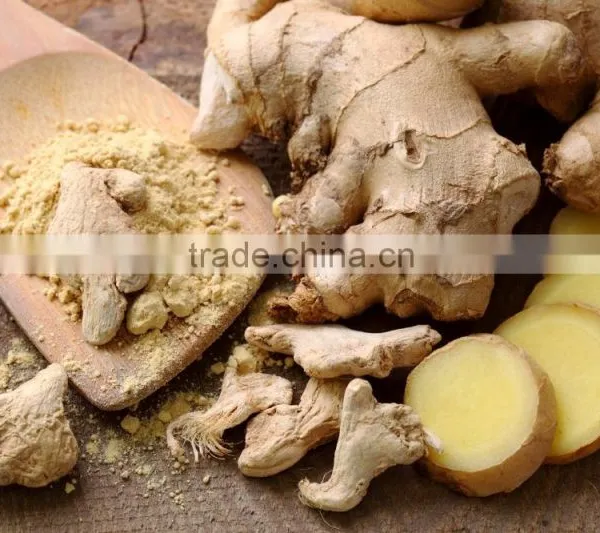 Talya Ginger Oil 20 ml photo-2