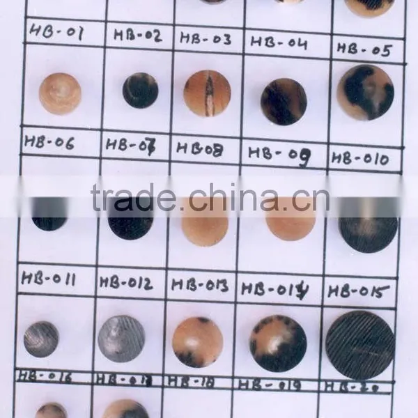 Buffalo Horn Blank Black Button for Garment in India 2016 photo-4