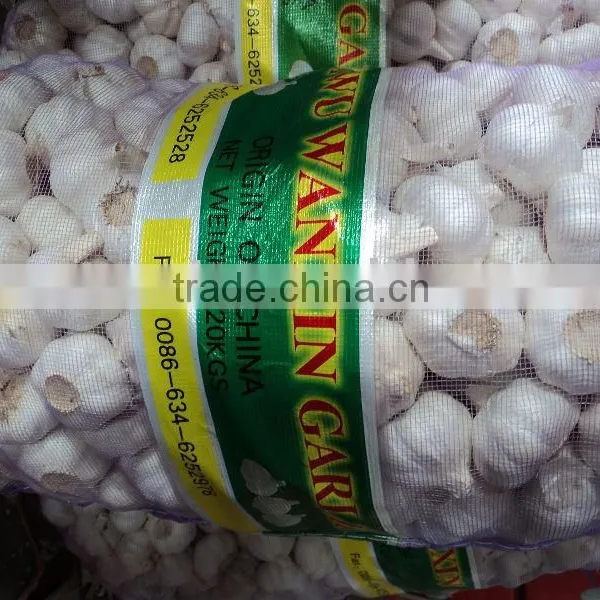 Chinese Fresh Garlic 2015 Garlic photo-5