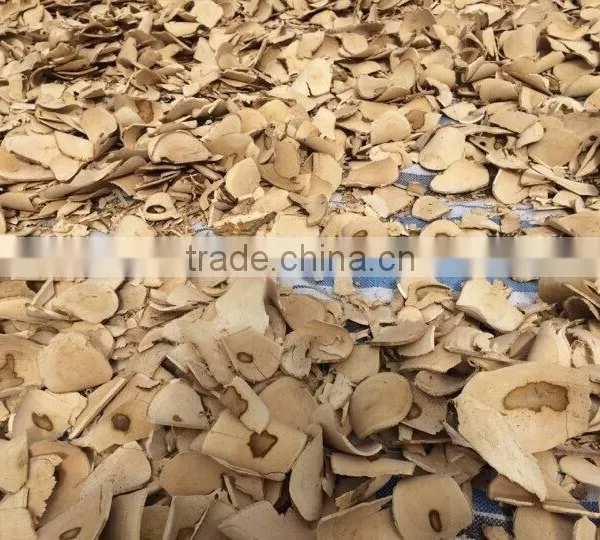 Tongkat Ali Root (Whole, Slice) photo-2