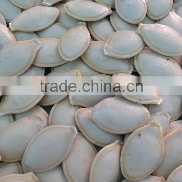 Shine Skin Pumpkin Seeds in Shell 10mm up photo-4
