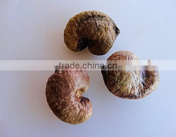 Kaju Fruits Tree Seeds Anacardium Occidentale Cashew Seed photo-2