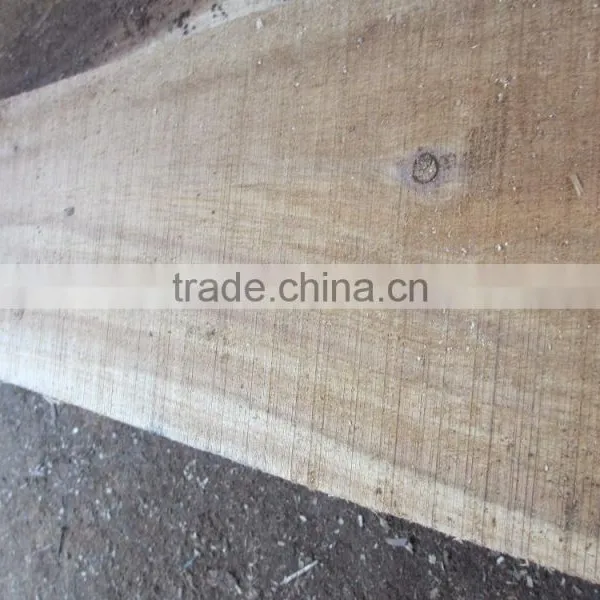 Timber ! Acacia Timber