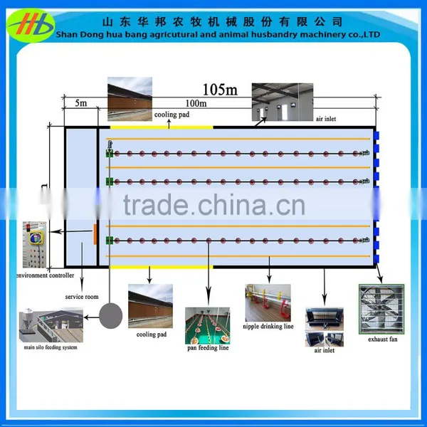 Poultry Automatic Pan Feeding System for Breeders photo-4