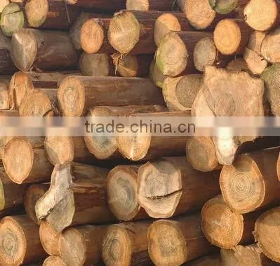 Professional Hammer Type Machine for Producing Sawdust photo-3