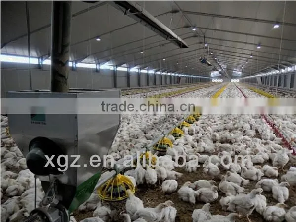 ISO & CE Certified Steel Structure Prefab Poultry Farm Construction With Automatic Equipments