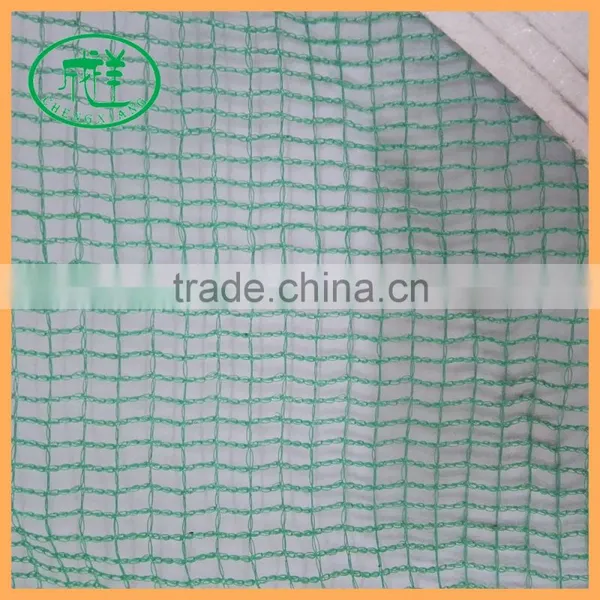 Factory Supply HDPE Olive Collecting Nuts Harvesting Netting photo-4