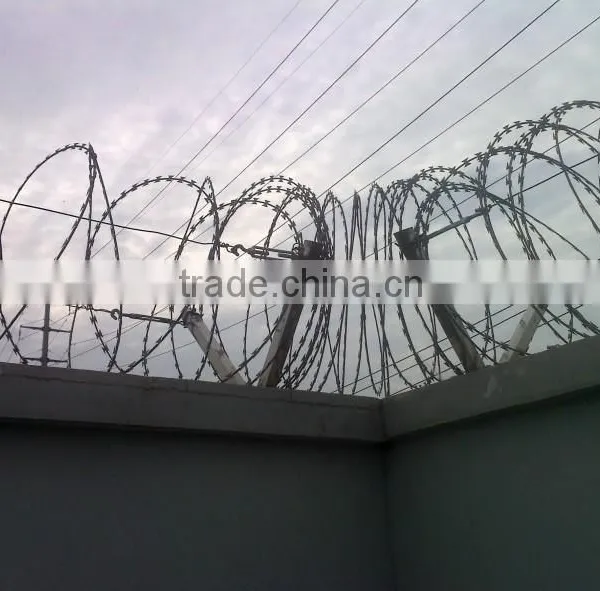 Galvanized Razor Blade Barbed Wire / Razor Wire Fence / Barbed Wire in China photo-5