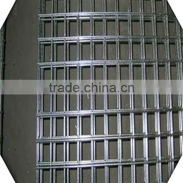 High Quality Galvanized Welded Wire Mesh Roll / 8 Gauge Welded Wire Mesh photo-6