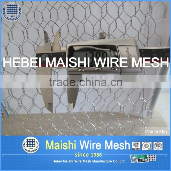 Chicken Iron Wire Mesh photo-3