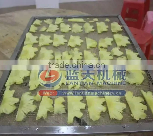 Dried Fruit Dryer/dehydrator Machine For Commercial Use/ Dehydration Machine For Food photo-5