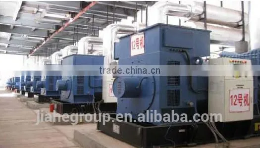 Diesel Engine Generating Set/ Diesel Engine Generator/ Diesel Generating Set photo-2