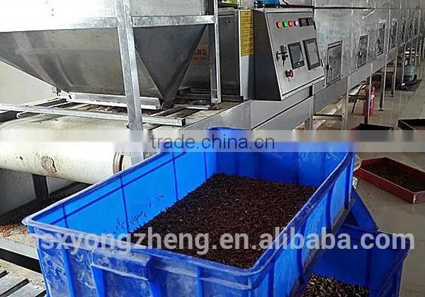 25mm 100% Pure Natural Freeze Dried Mealworms For Bird Food photo-5